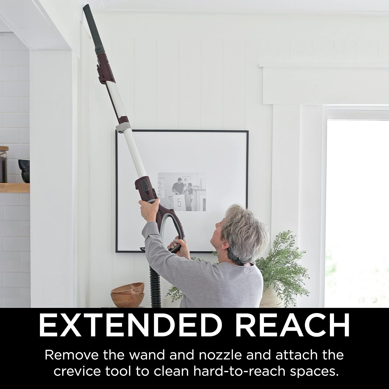 Shark NV752 Rotator Powered Lift-Away TruePet Upright Vacuum with HEPA Filter, Large Dust Cup Capacity, LED Headlights, Upholstery Tool, Perfect Pet Power Brush & Crevice Tool, Bordeaux